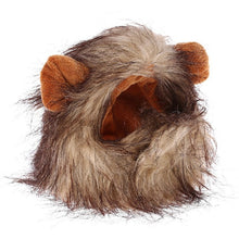Load image into Gallery viewer, Funny Pet Cat Costume Lion
