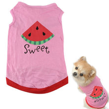 Load image into Gallery viewer, Sporty Summer Pet Vests