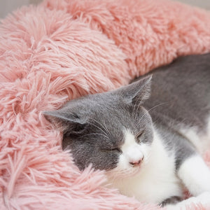 Soft Washable Cat Bed