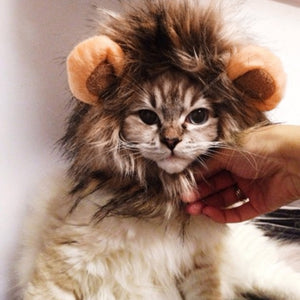 Funny Pet Cat Costume Lion